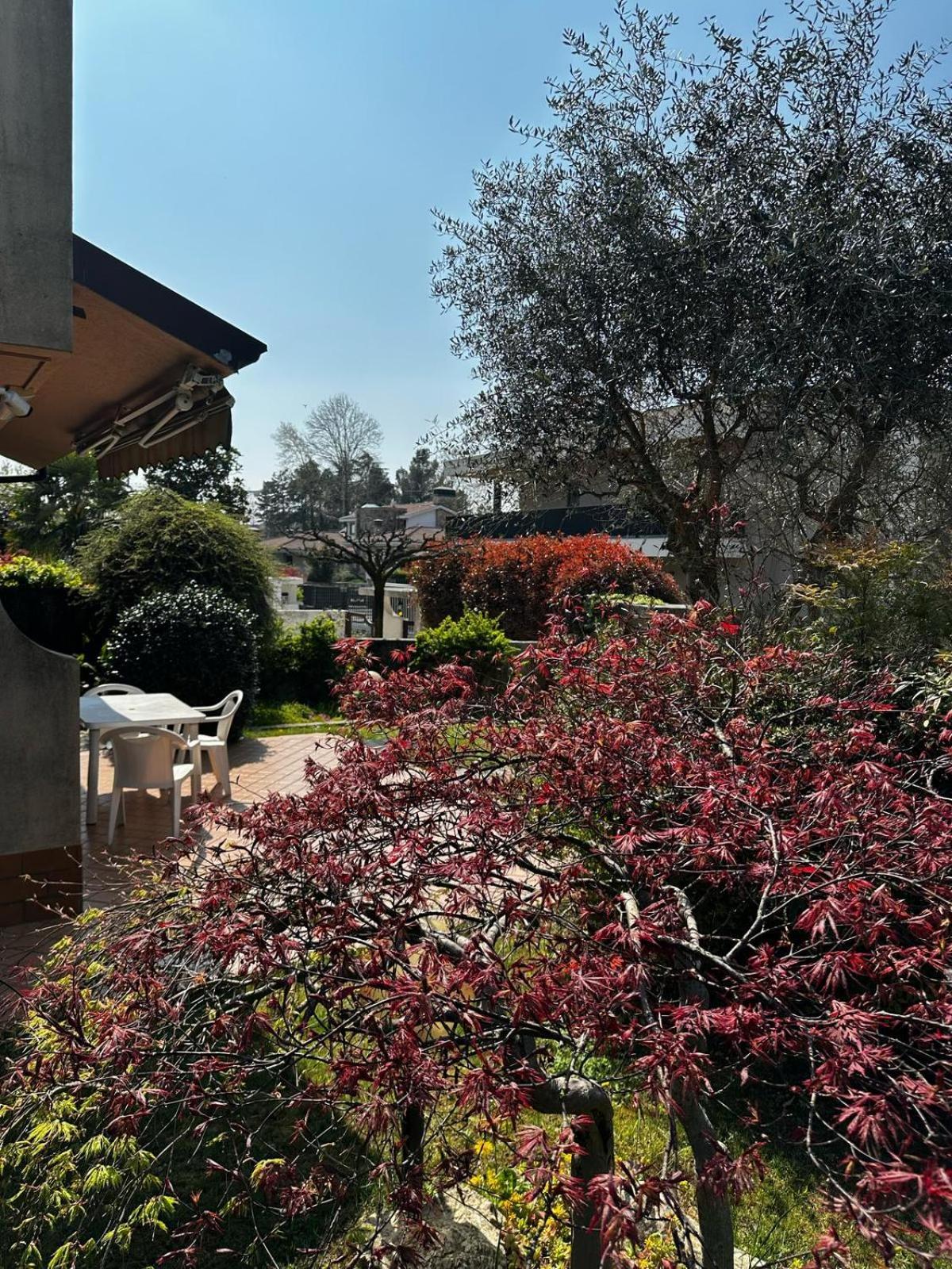 Villa Luisa Gorle ภายนอก รูปภาพ