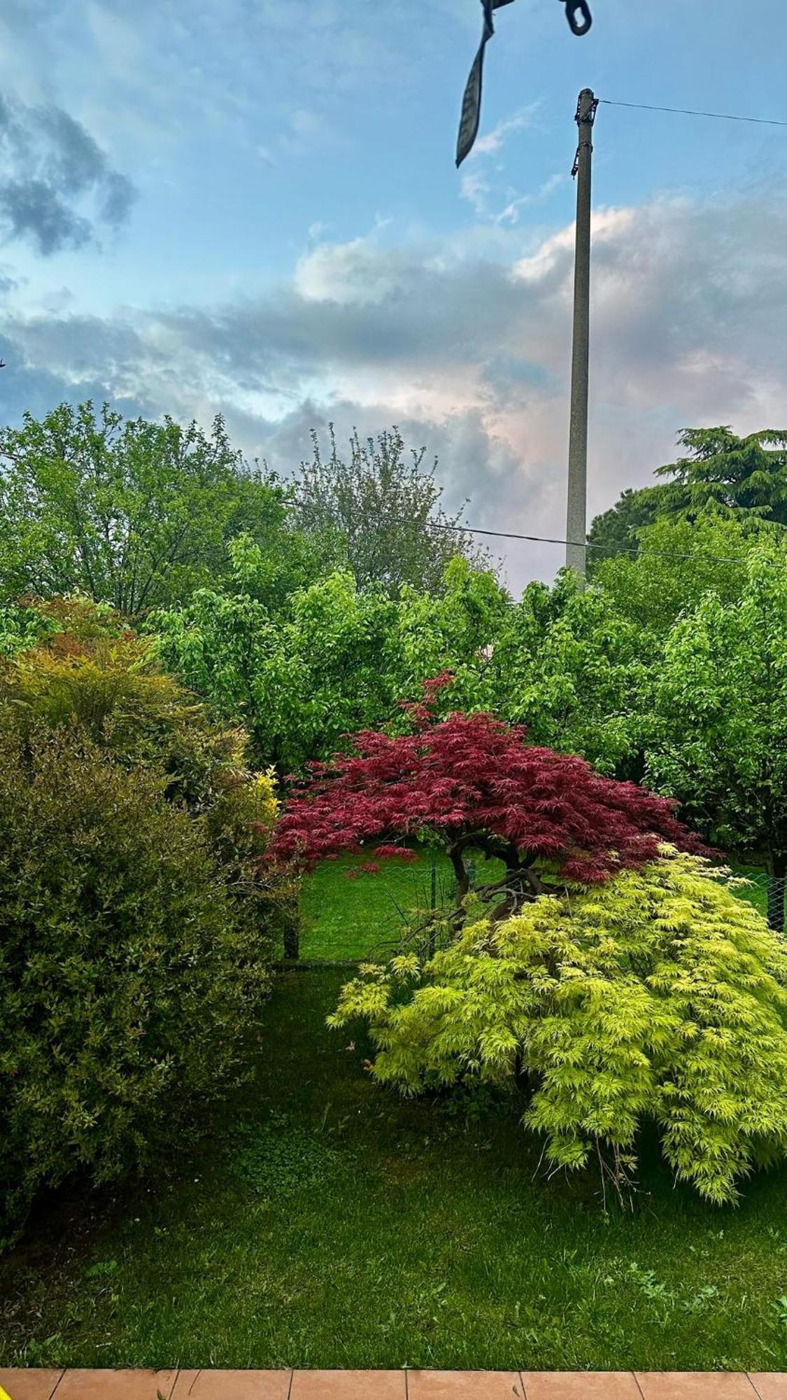 Villa Luisa Gorle ภายนอก รูปภาพ